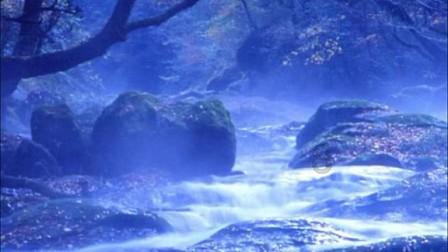 突发心梗生死救援!高铁上,河南籍军医“侠侣”出手了……